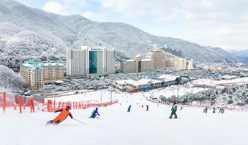 Vivaldi Park Ski Resort: 1 Day Ski/Snowboard/Snowy Land Snow Sled Tour (+ Eobi Ice Valley option) - from Seoul - main view