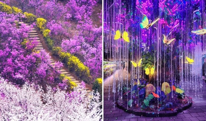 Spring Special: Bucheon Wonmisan Azalea Festival + Gwangmyeong Cave Afternoon Tour - from Seoul (Apr 1~10) - main view