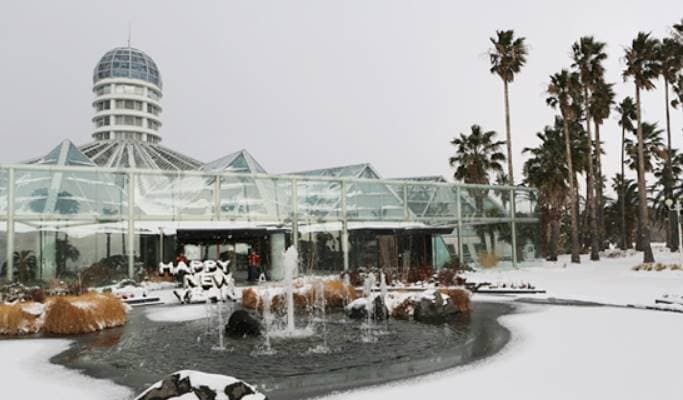 Jeju Yeomiji Botanical Garden Ticket - main view