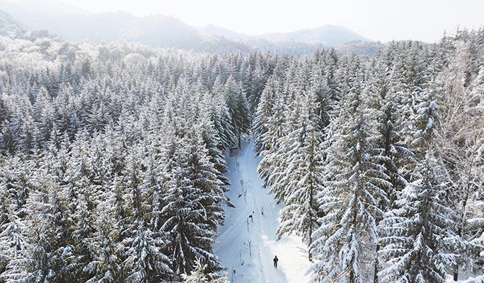 Yongpyong Ski Resort: 2D1N Dragon Valley Ski/Snowboard Package (Breakfast Included) - main view