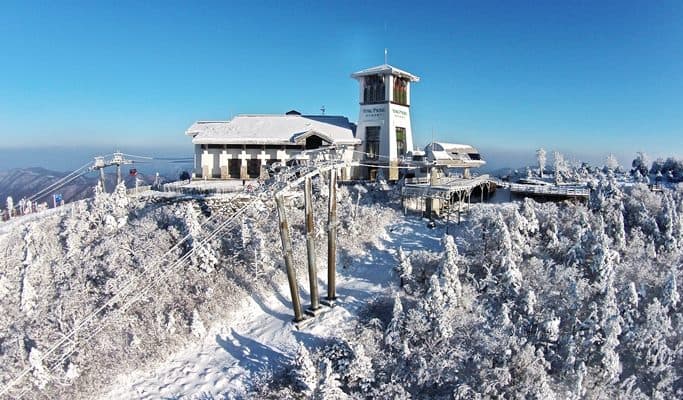 Yongpyong Ski Resort: 1 Day Ski/Snowboard Tour (+ Balwangsan Cable Car option)