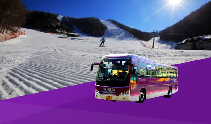 Seoul/Airport ↔ Yongpyong Ski Resort Shuttle Bus - main view
